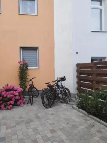 Thamy'S Homestay 2 Rostock Exterior photo